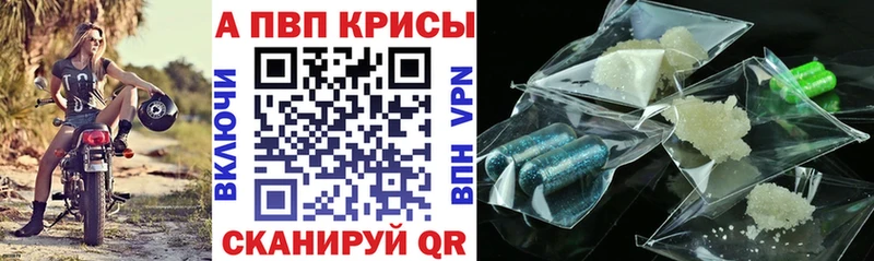 купить закладку  Грайворон  блэк спрут рабочий сайт  Alpha PVP крисы CK 