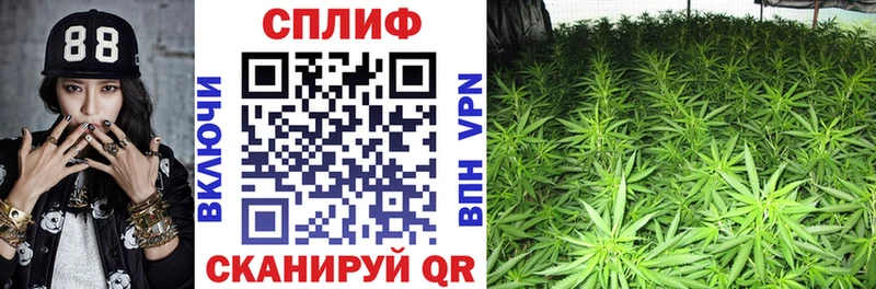 наркотики  Грайворон  Канабис THC 21% 